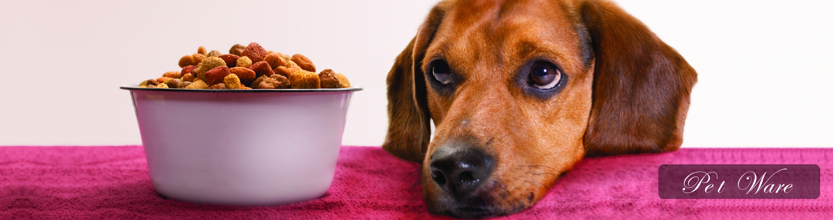 Pet Ware